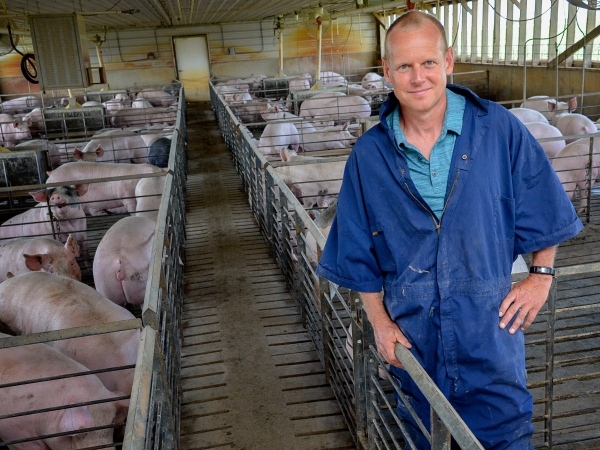 Illinois pig farmer making pork a sustainable choice