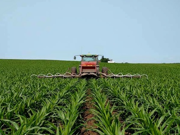 corn field sprayer