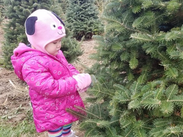 Girl at Christmas Tree Farm