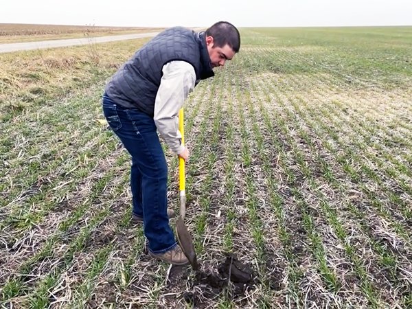 Chase Brown in field with cover crops