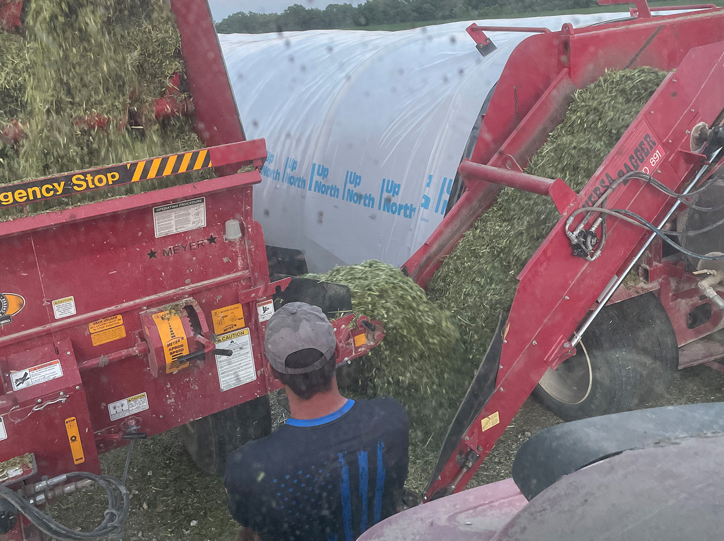 Chopping cover crops for livestock feed