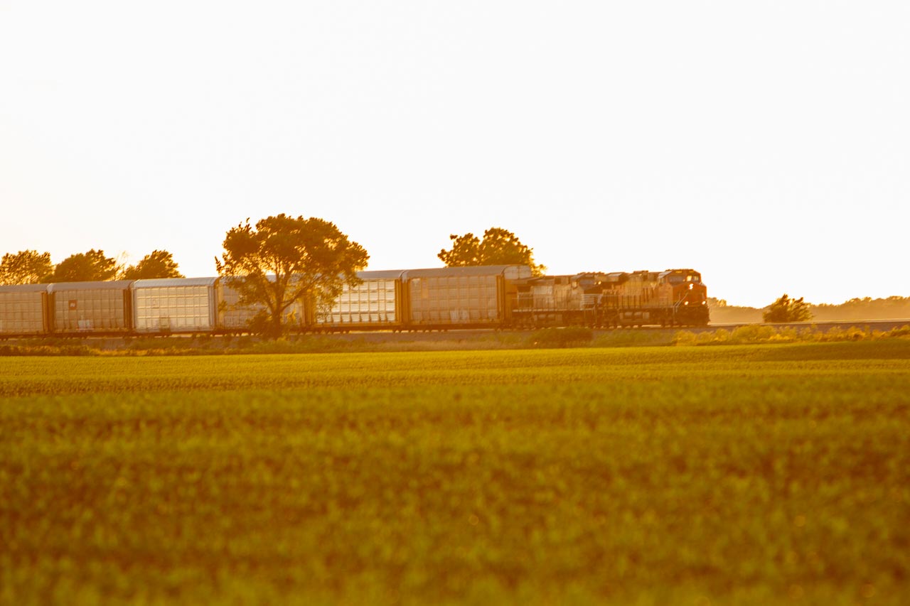 Photo of a field with a train in the background