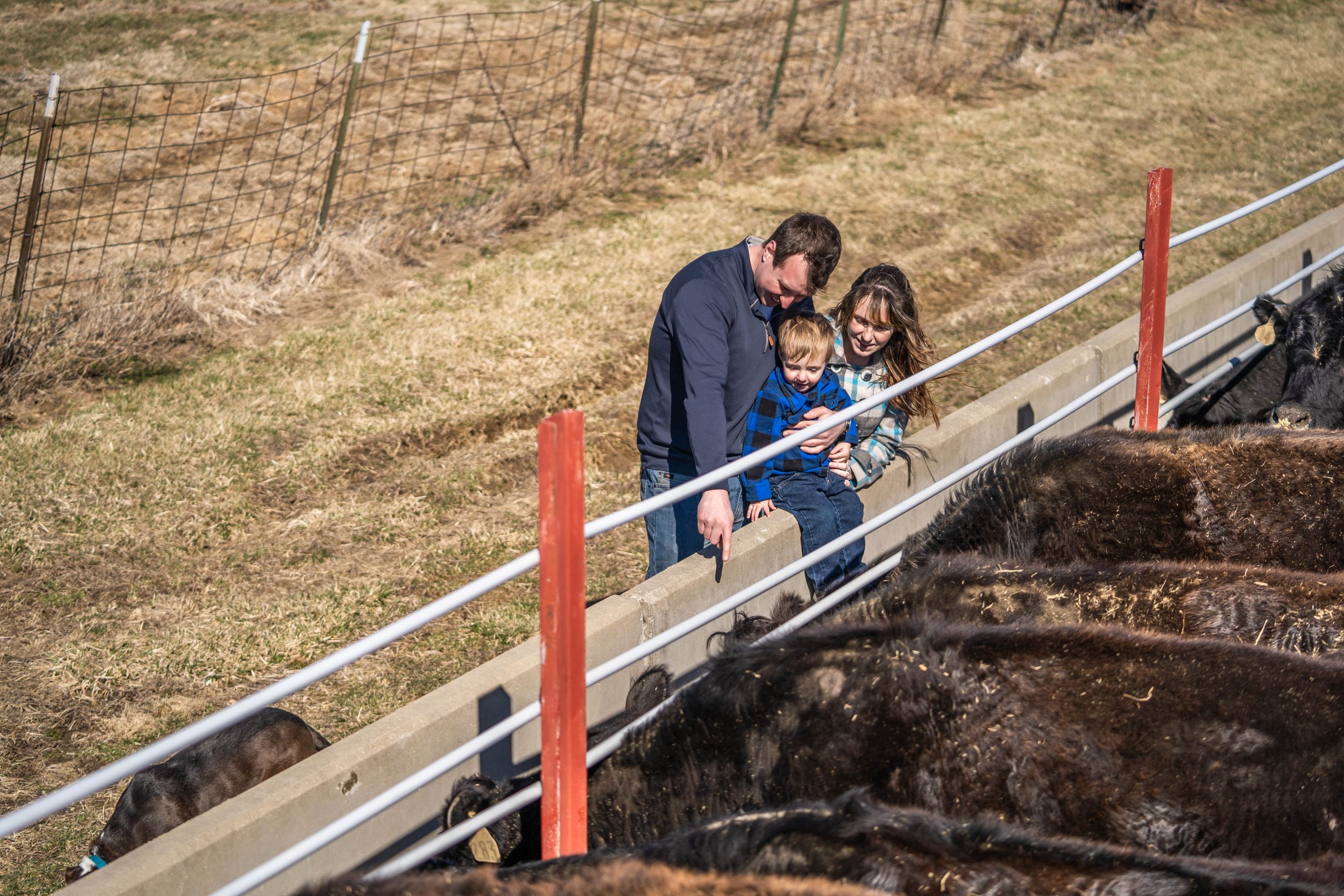 Jon Griffel and his family check cows